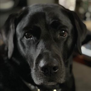 Meet your Posher, Mark